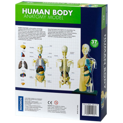 Human Anatomy Model back of box