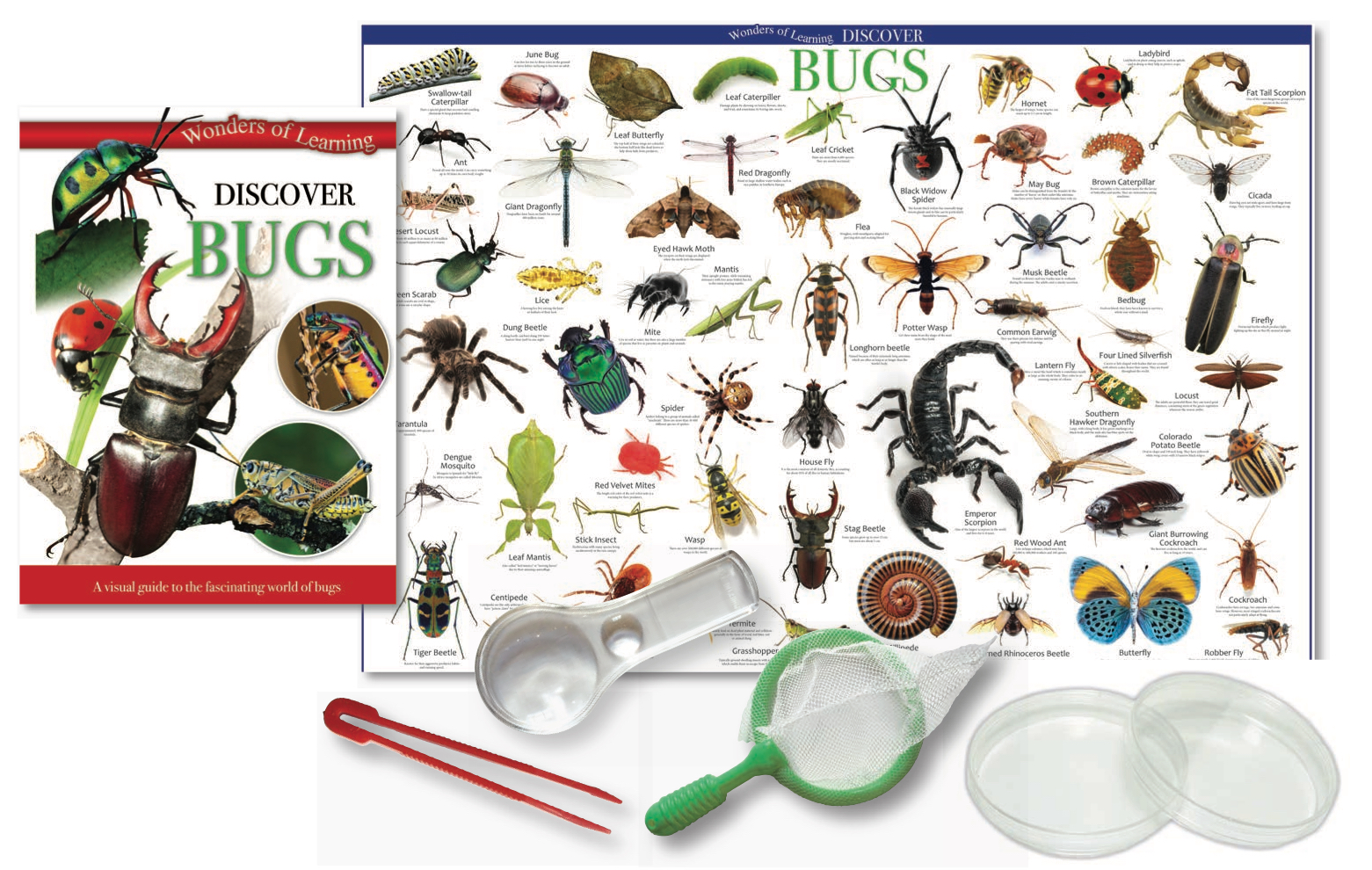 Discover Bugs Science kit Science and Nature New Zealand