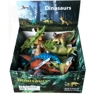 Dinosaur Display box