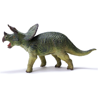 Triceratops recur pvc