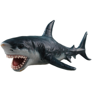 Great White Shark replica