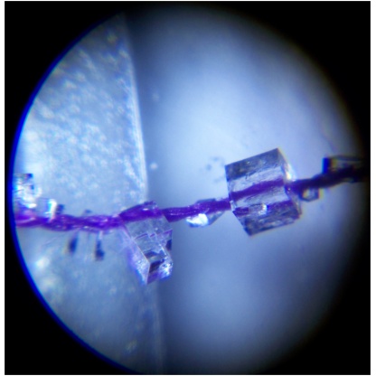Salt crystal under pocket microscope