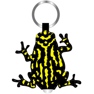 Corroboree Frog torch