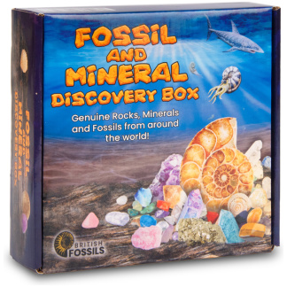 Fossil and Mineral Discovery Box