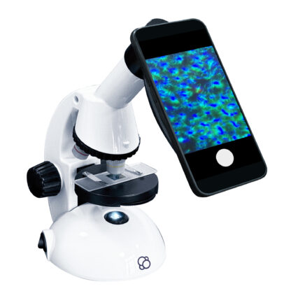 Microscope - Image 4