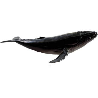 Humpback Whale Soft PVC
