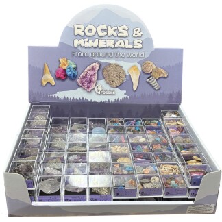 Rocks and Minerals Display