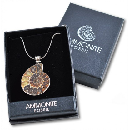 Ammonite fossil pendant