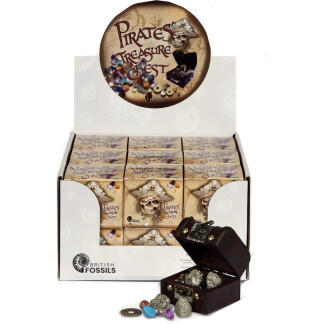 Pirate Treasure Chest display box
