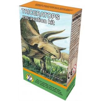 Triceratops excavation kit box