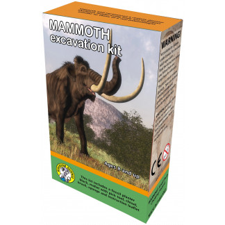 Mammoth excavation box