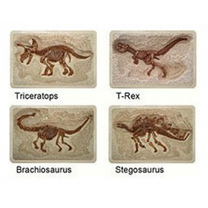 discover Dinosaur kit fossils skeletons