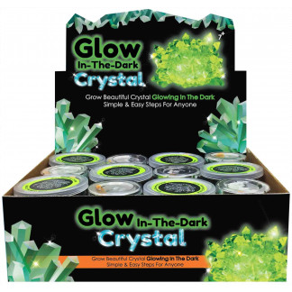 Glow in the Dark Crystal Growing display box