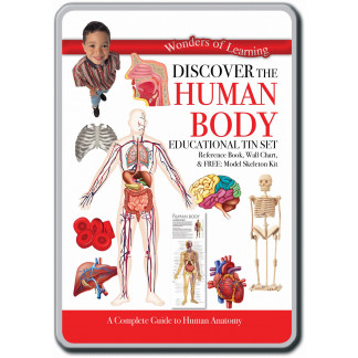 Human Body tin set