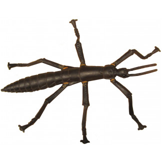 Lord Howe Island Stick insect figurine