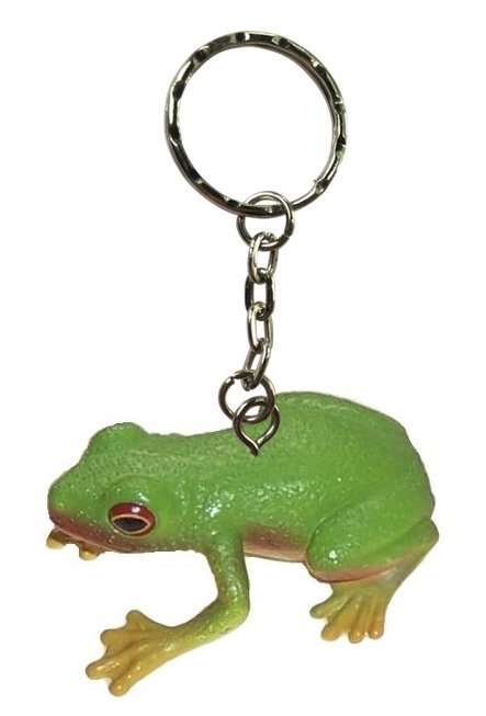 Red-eyed Green Tree Frog Keychain (pack Of 6) - Science And Nature