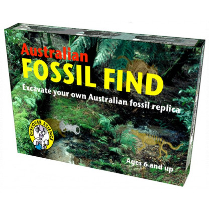 Fossil Find Box