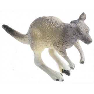 Small kangaroo