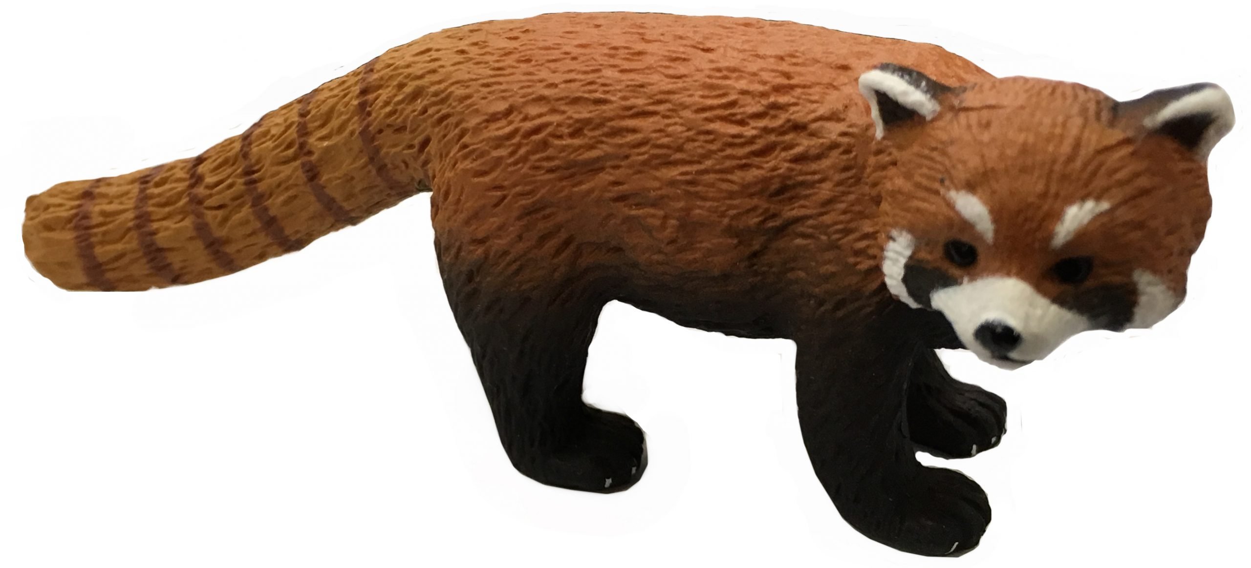 ZOO ANIMAL REPLICAS RED PANDA Small Replica Size approx 8 cm long by 3 cm high 