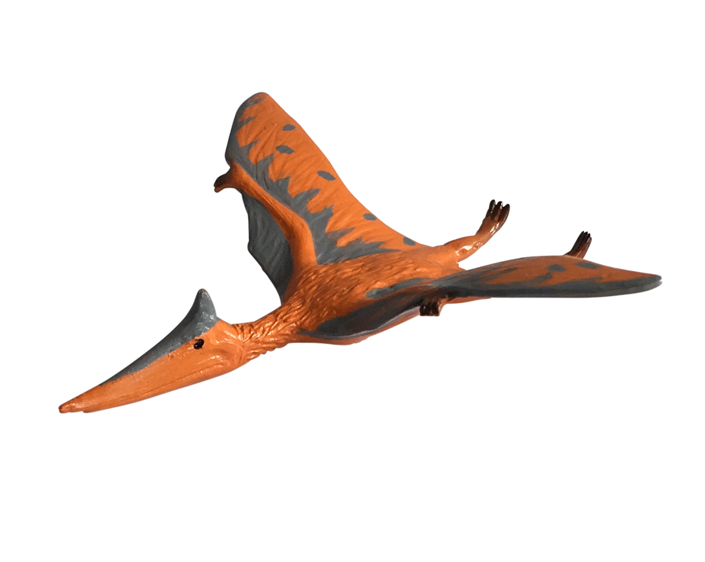 Pteranodon Pteranodon Facts