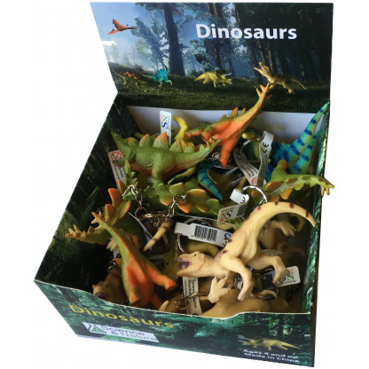 Dinosaur keychain display box