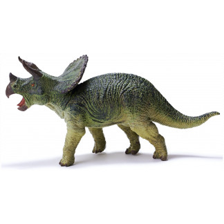 Triceratops recur pvc