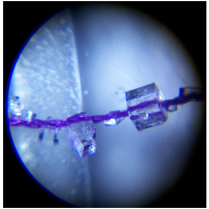 Salt crystal under pocket microscope