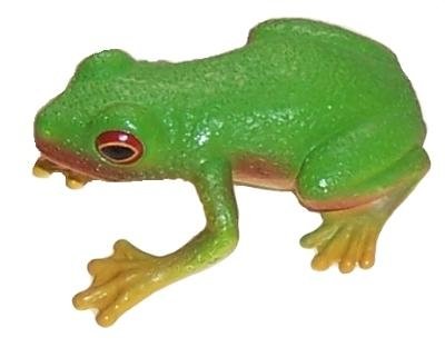 Red-eyed Green Tree Frog Replica (pack Of 10) - Science And Nature