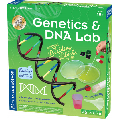 Genetics and DNA box