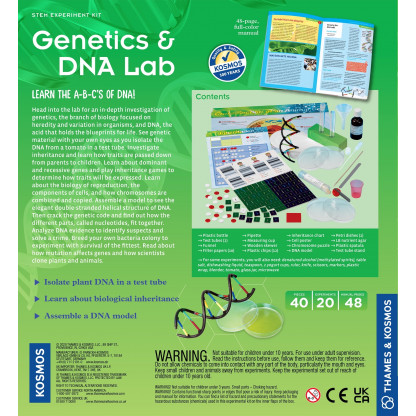 665007 1 With Genetics and DNA science kit learn about the biology of reproduction, the components of cells, and how chromosomes are combined and copied. Assemble a model to see the elegant double-stranded helical structure of DNA.