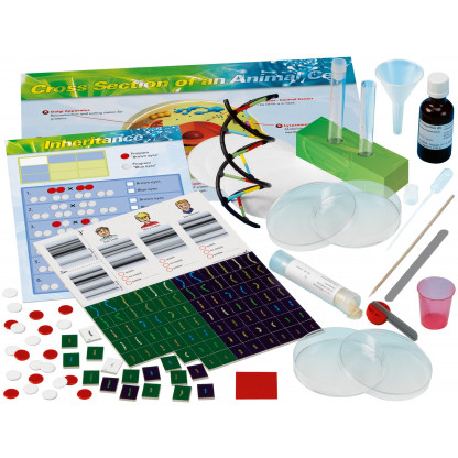 665007 3 With Genetics and DNA science kit learn about the biology of reproduction, the components of cells, and how chromosomes are combined and copied. Assemble a model to see the elegant double-stranded helical structure of DNA.