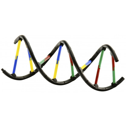 665007 4 With Genetics and DNA science kit learn about the biology of reproduction, the components of cells, and how chromosomes are combined and copied. Assemble a model to see the elegant double-stranded helical structure of DNA.