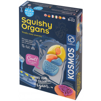 Squishy Organs box