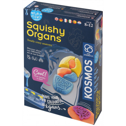 Squishy Organs box