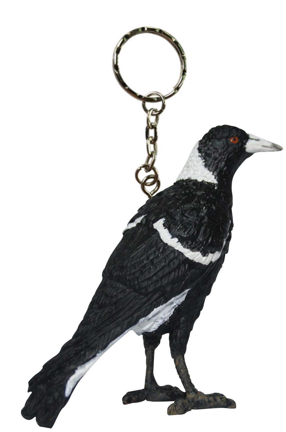 Keychains - Birds, Spiders And Frogs - Science And Nature