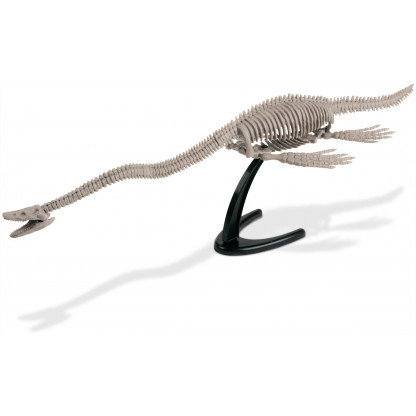 5983 2 Excavate the bones of an Elasmosaurus and then assemble the 22 cm skeleton.