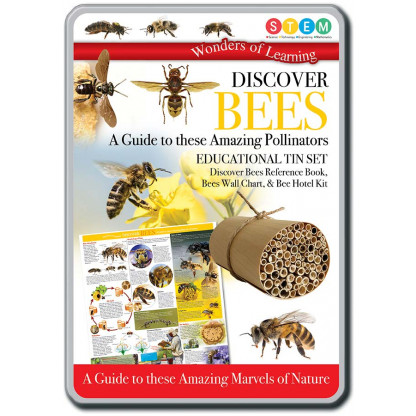 Discover Bees tin set
