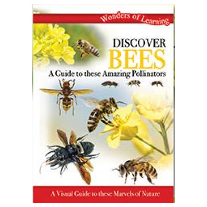 5710 1 Discover Bees tin set includes a wall chart, booklet and components to make an insect/bee hotel.