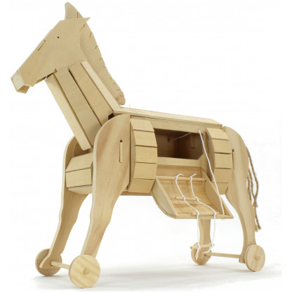 Trojan Horse model