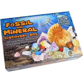 Fossil and Mineral Discovery Box