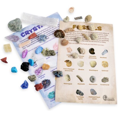 3250 3 Fossil and Mineral Discovery Box contains a wealth of treasures and fossils for the intrepid explorer to enjoy.