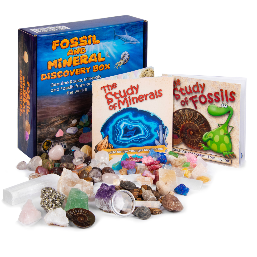 Fossil and Mineral Discovery Box 2 3250 Fossil and Mineral Discovery Box - Image 2