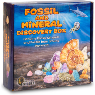 Fossil and Mineral Discovery Box