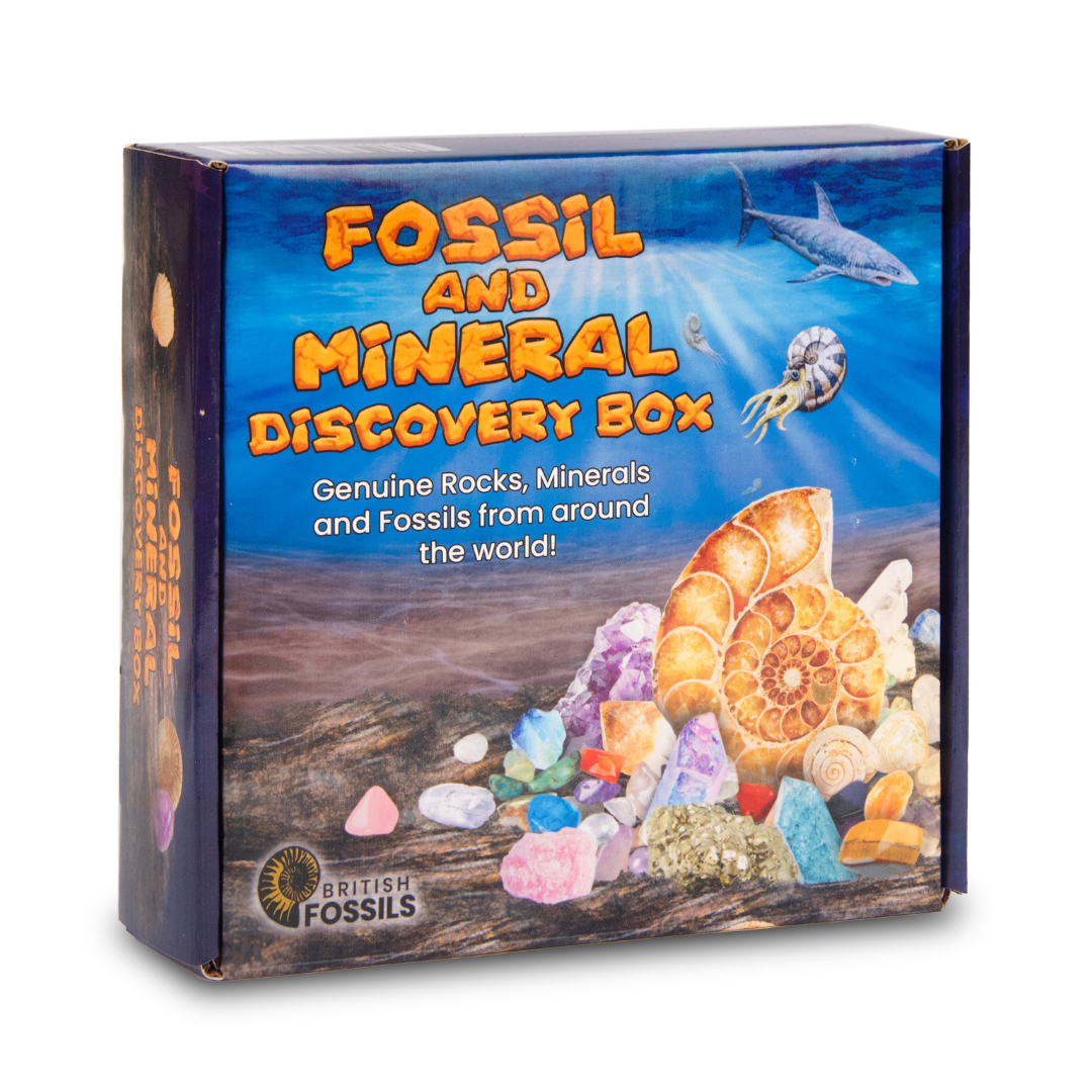 Fossil and Mineral Discovery Box 1 3250 Fossil and Mineral Discovery Box