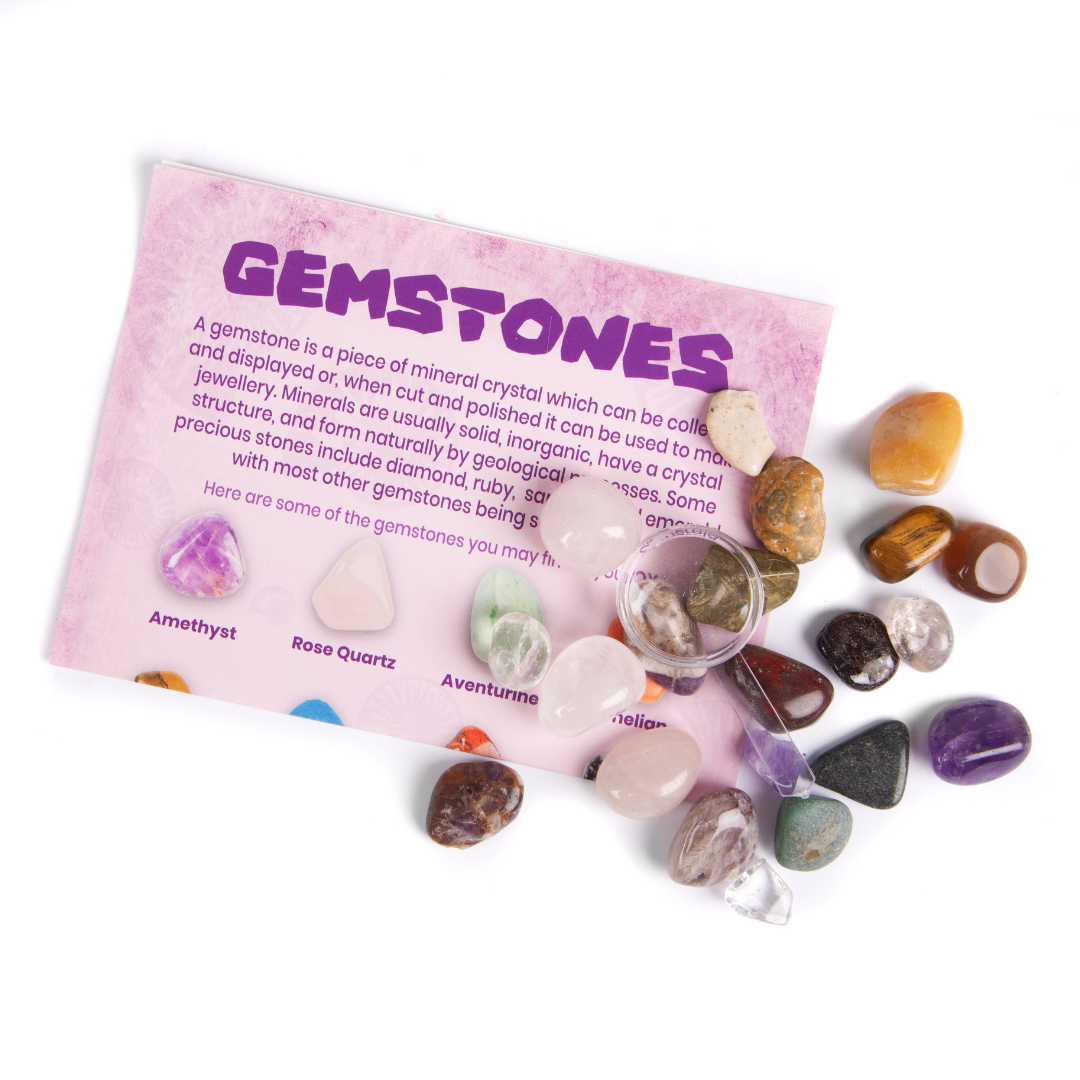 Fossil and Mineral Discovery Box 4 3250 Fossil and Mineral Discovery Box - Image 4