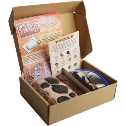 3252 2 Dig Your Own Fossils Kit has been designed as a great discovery starter kit for the younger fossil enthusiast and collector.