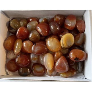 Carnelian tumbled gemstones white box