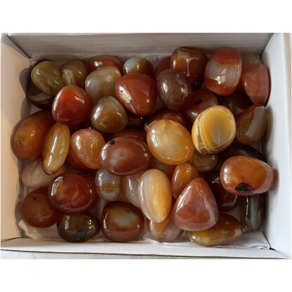 Carnelian tumbled gemstones white box