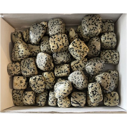 Dalmatian Jasper tumbled gemstones white box