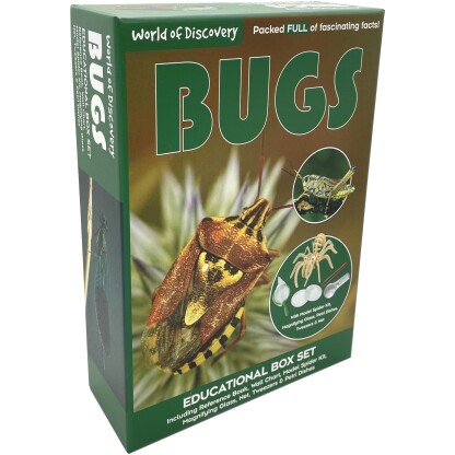 World of Discovery Bugs box